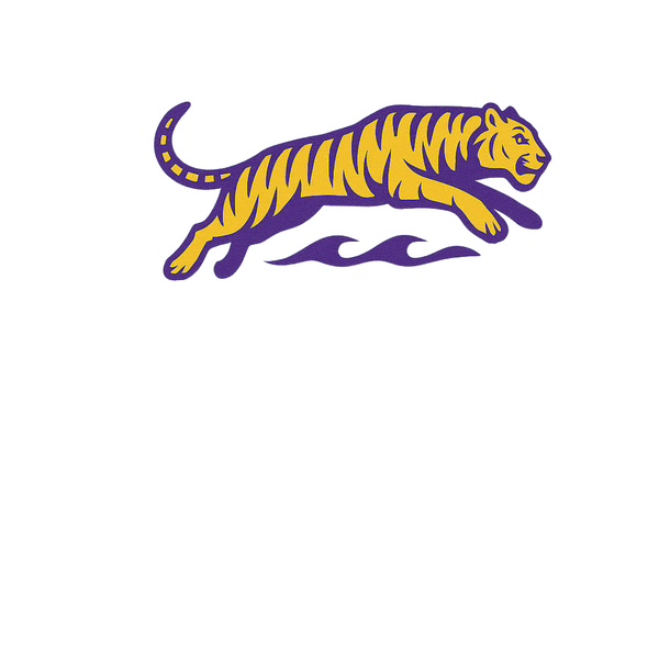 bayoutiger.com
